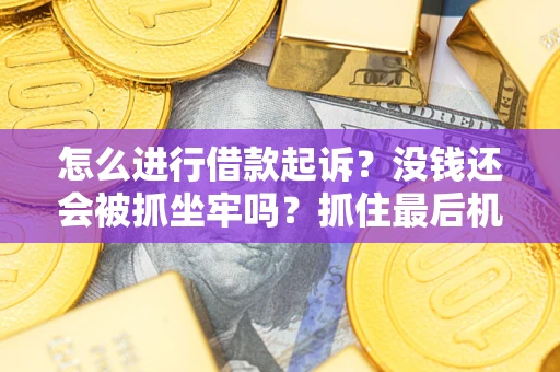 济南怎么进行借款起诉？没钱还会被抓坐牢吗？抓住最后机会！