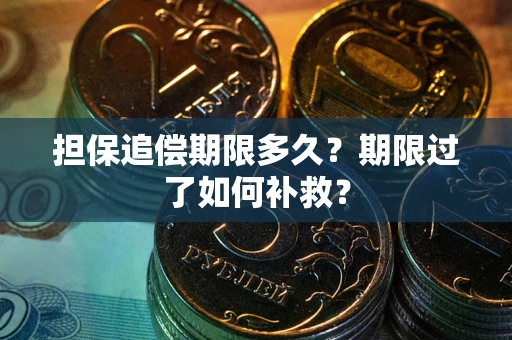 济南担保追偿期限多久？期限过了如何补救？