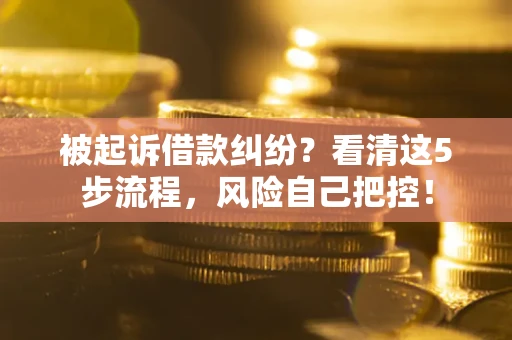 济南被起诉借款纠纷？看清这5步流程，风险自己把控！